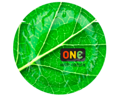 Презерватив ONE Color Sensations ONE with nature зелений, гладенький, зі змазкою 1шт