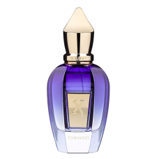 Розпив Xerjoff Torino21 1мл