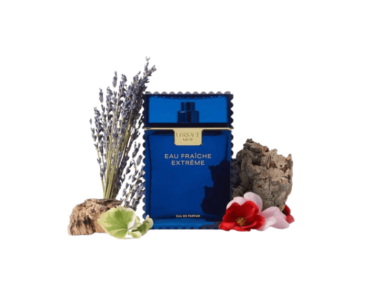 Розпив Versace Versace Man Eau Fraiche Extreme 1 мл Розпив Versace Versace Man Eau Fraiche Extreme 1 мл