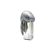 Розпив Nebbia Fitta Atmosphere d'Emotion Filippo Sorcinelli 1мл