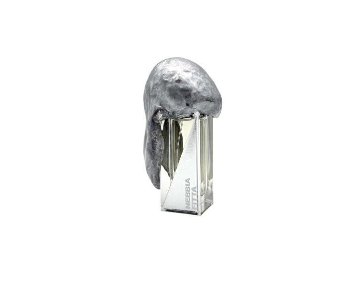 Розпив Nebbia Fitta Atmosphere d'Emotion Filippo Sorcinelli 1мл Розпив Nebbia Fitta Atmosphere d'Emotion Filippo Sorcinelli 1мл