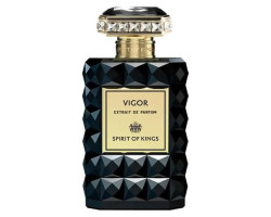 Розпив Vigor Spirit Of Kings 1 мл