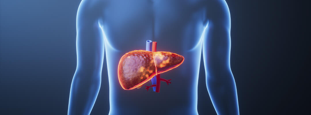 Вплив на печінку та серцево-судинну систему